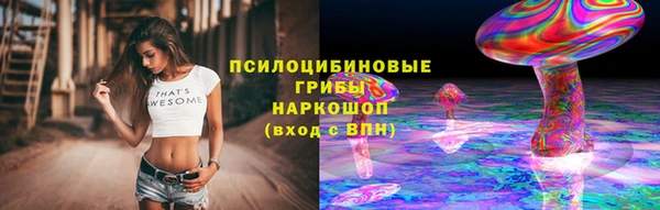 винт Богданович