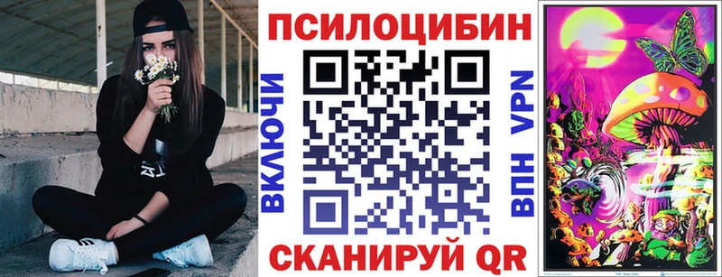 Купить закладки  Новотитаровская  Псилоцибиновые грибы Psilocybe 